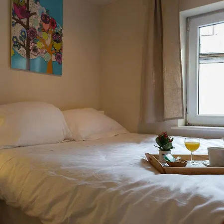 Apartment Patriotes Halldis Brussels