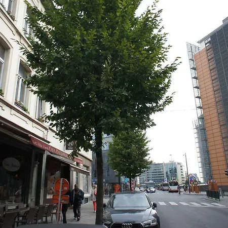 Berlaymont Ohy * Brussels
