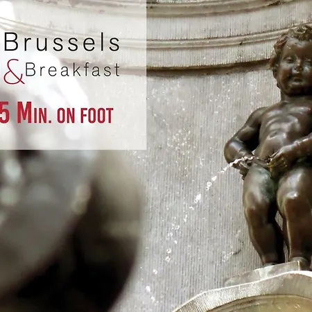 X2brussels 3*