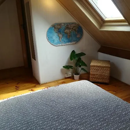 Chez Odak Brussel
