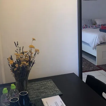 Ambiorix Birch House Bed & Breakfast Brussels
