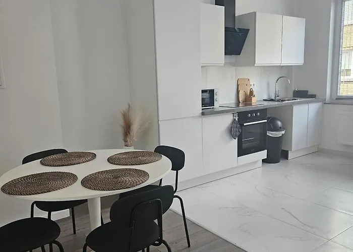 Brussels Apartment With Terrace 2