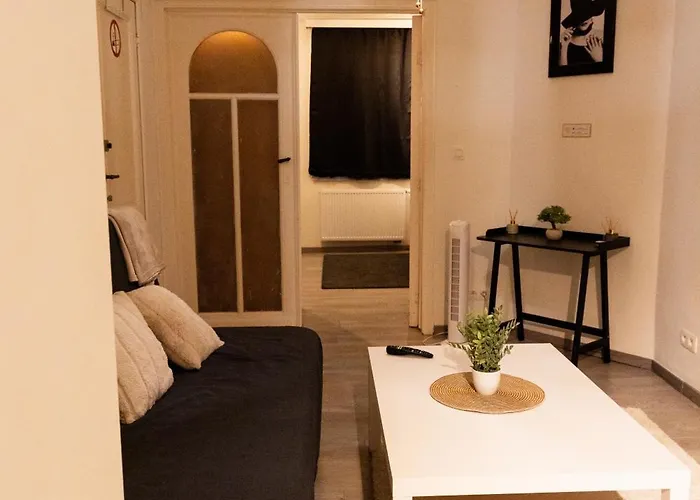 Appartement Sous Toit Lumineux Avec Garage Et 4 Pieces En Enfilade
