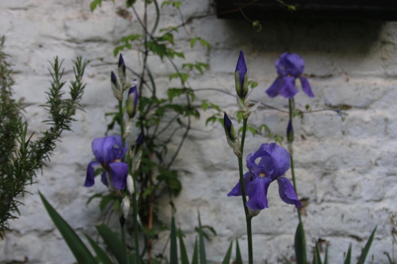 Les Iris Bed & Breakfast