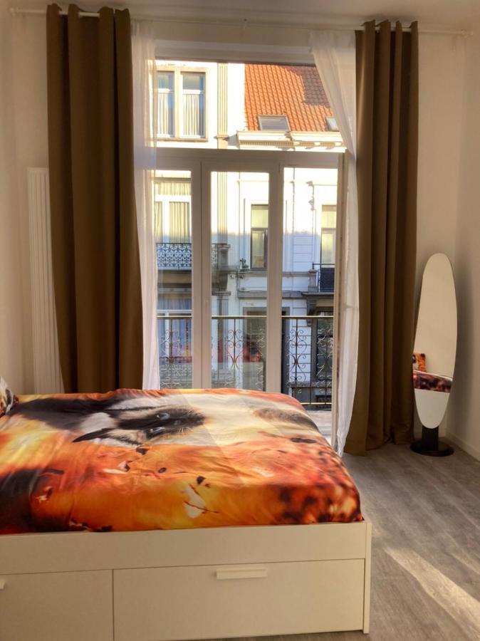 Dreamland Eu, Brussels