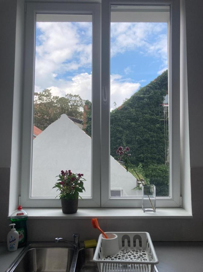 Dreamland Eu, Apartment