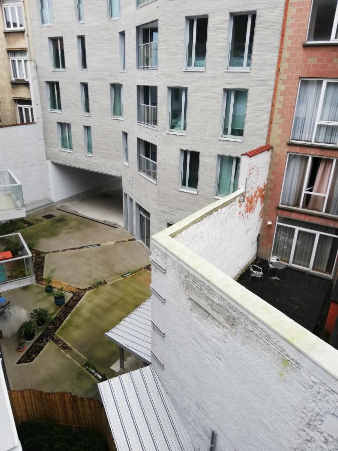 Tagusnunus Brussels