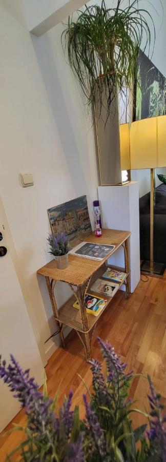 Bright Close To Zaventem Airport Brussels
