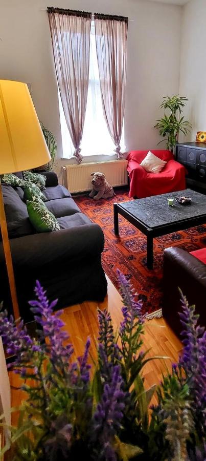 Apartment Bright Close To Zaventem Airport