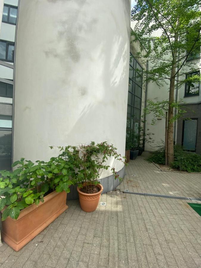 Chambre, Salle Sport, Grand Patio, Salle De Bain - Luxueux Appartement Idealement Localise Dans Le Centre De Bruxelles Homestay