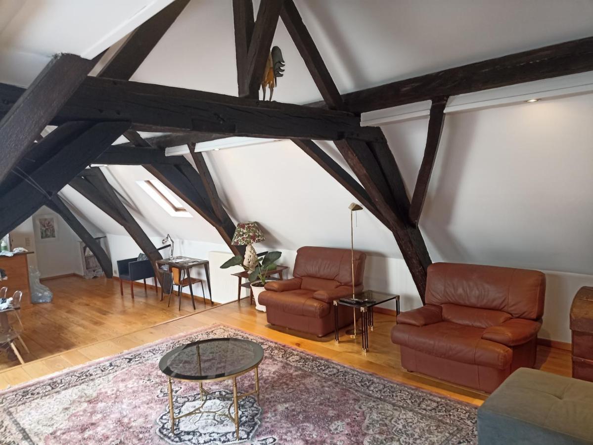 Spacious Duplex In Historical Center Apartment Brüssel