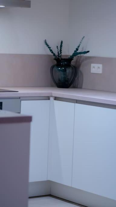 Luxury Luminous 2bedroom Center Of Brussel