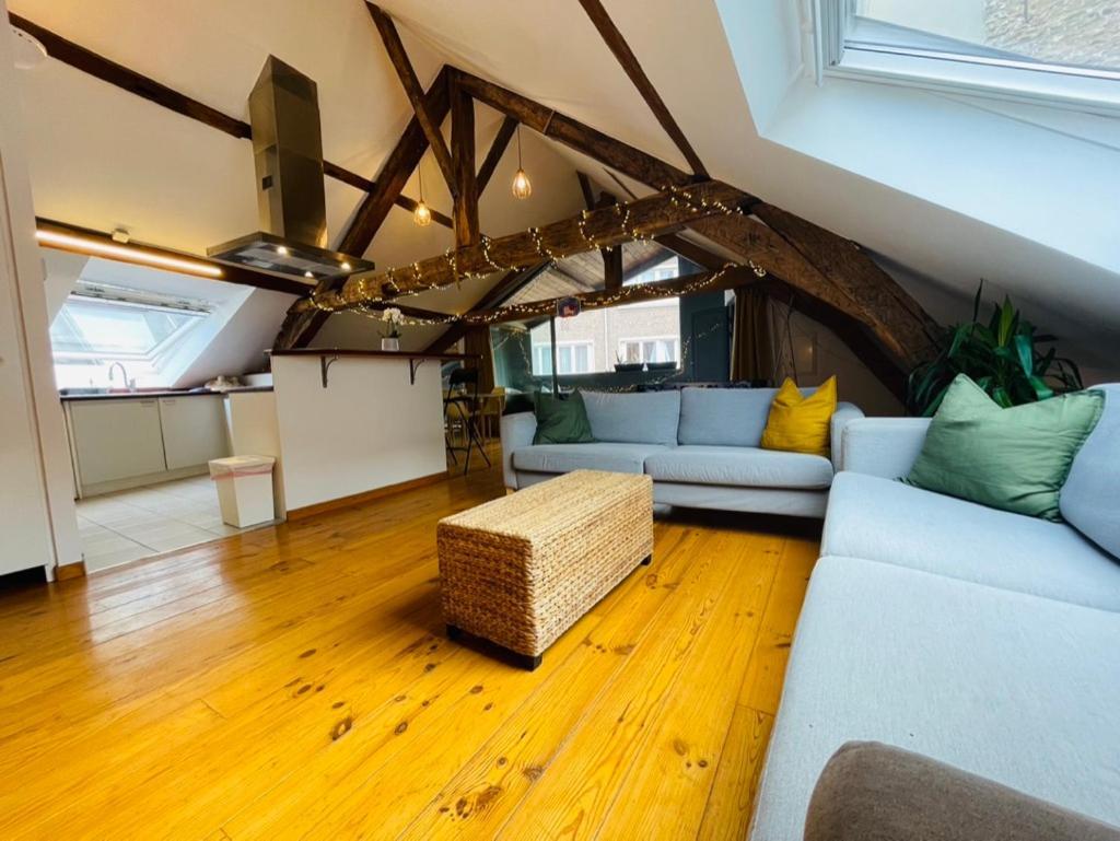 Down Town Spacious Loft With Private Parking * Brussels