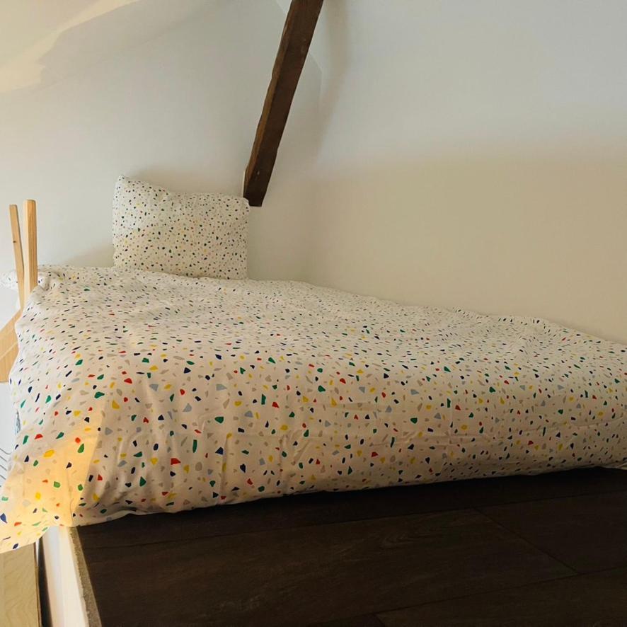 Down Town Spacious Loft With Private Parking Brussels