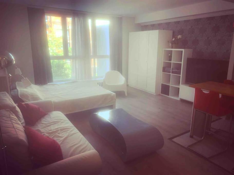 Bright In Apartment Brussels