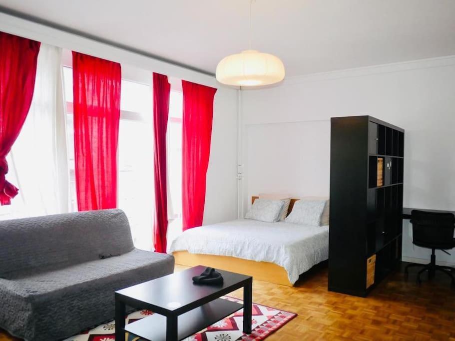 Ixelles: Superbe Appartement, Idealement Situe Brussels