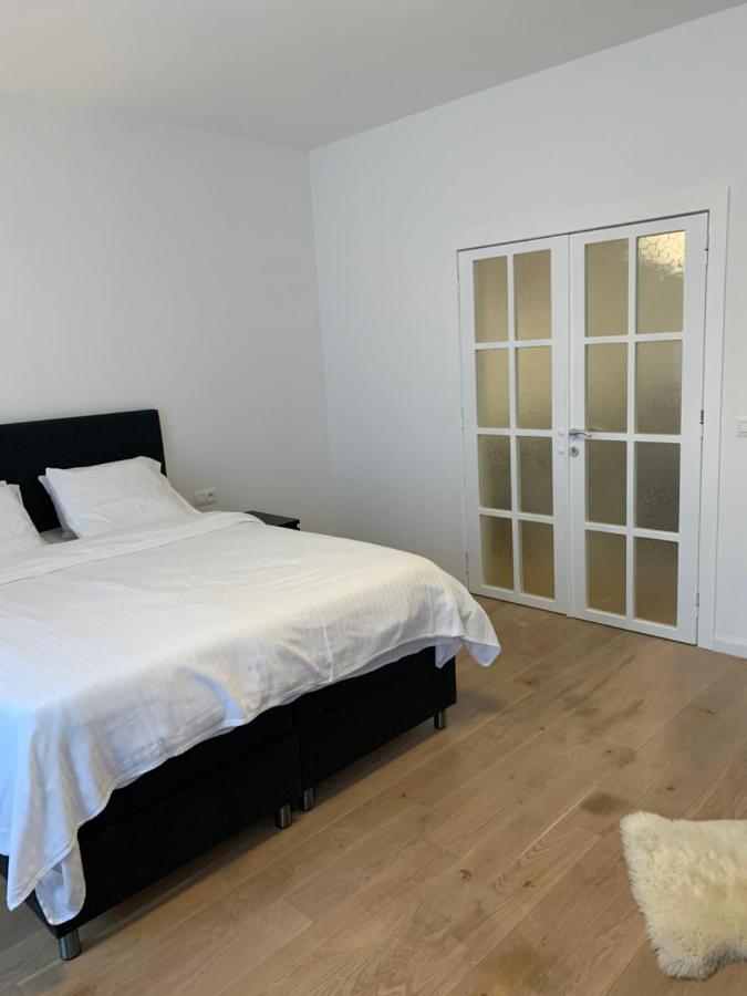 Apartment Lux