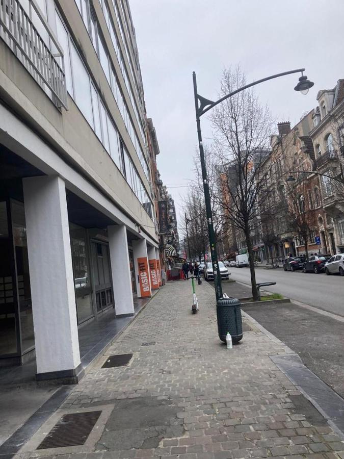 European Brussels