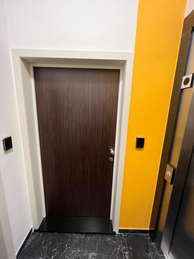 Luxury Brand New Apartment