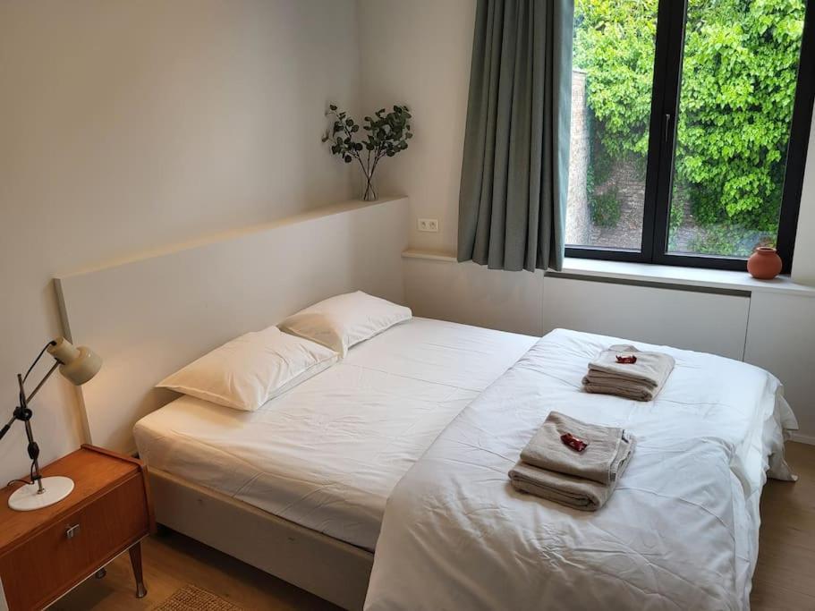 Comfortable Flat Close To Flagey Apartment Brussels