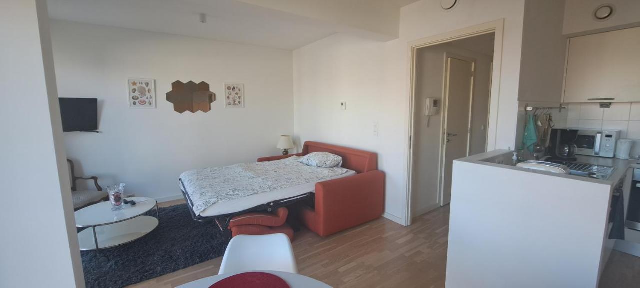 Brusilia Parc Appartement *