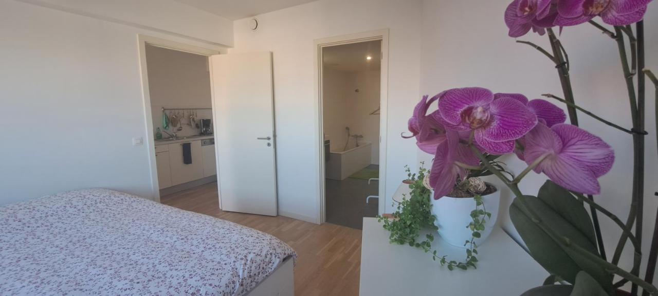 Apartment Brusilia Parc *