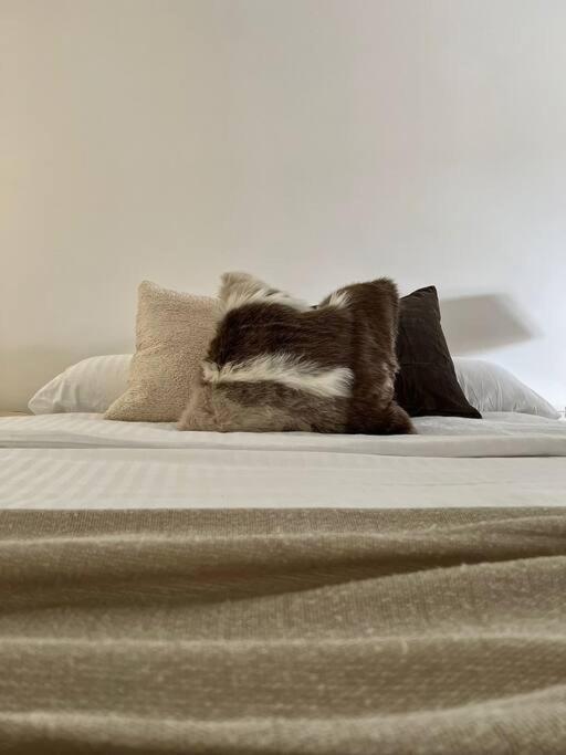Lovely 2-bedroom Duplex W/ Balcony In Appartement *
