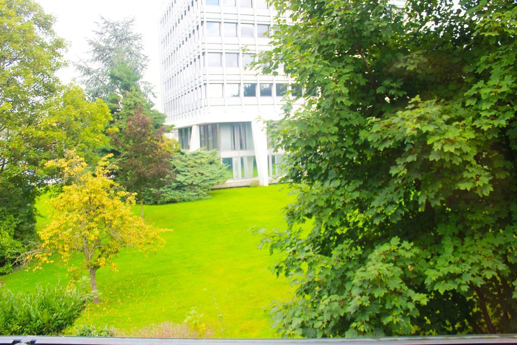 Story' Brussel