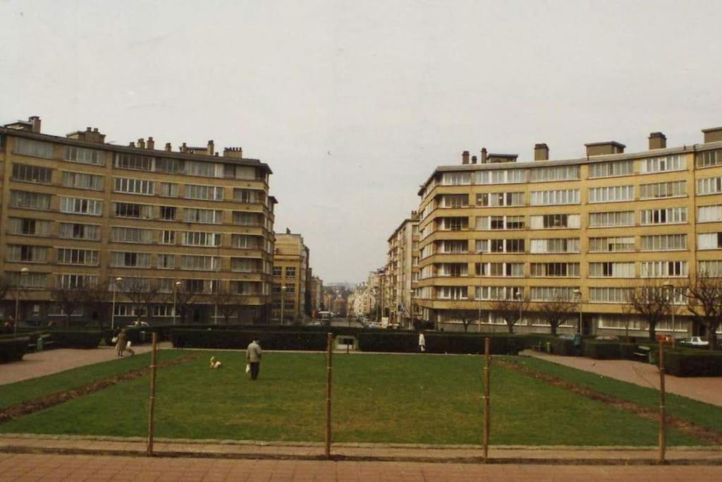 Roi Vainqueur Brussels