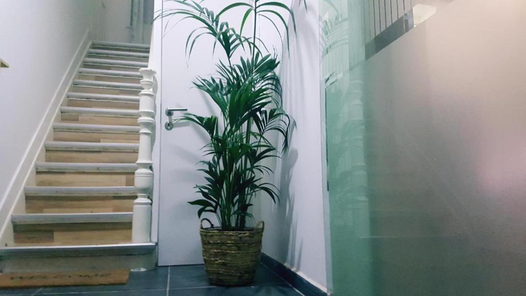 Cozy With Share The Bathroom And Kitchen Privatunterkunft Brüssel