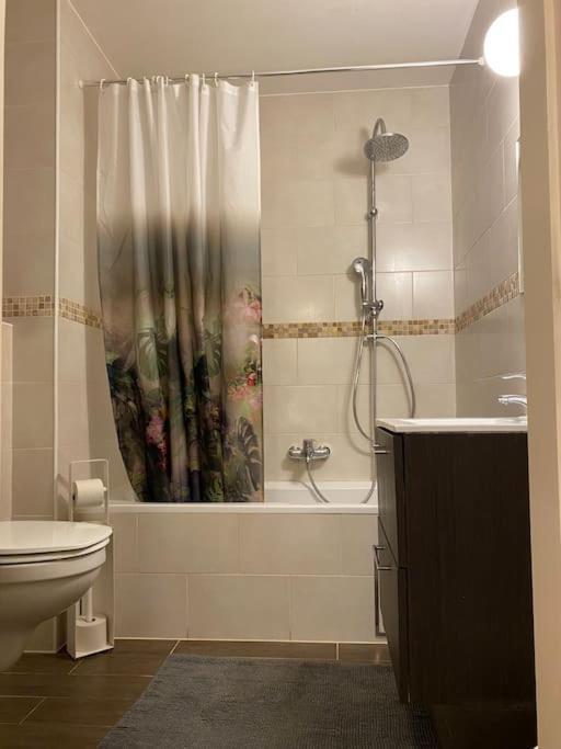 Avenue Louise Appartement