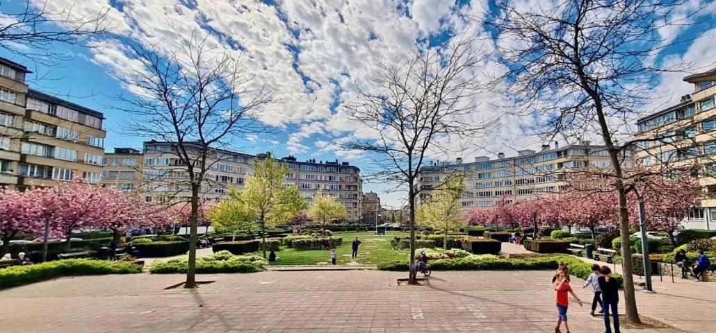 Roi Vainqueur Brussels