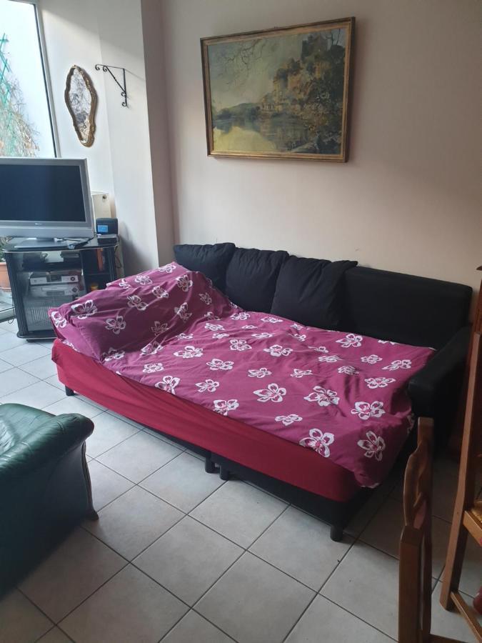 Apartment Rez De Chaussee - Erasme