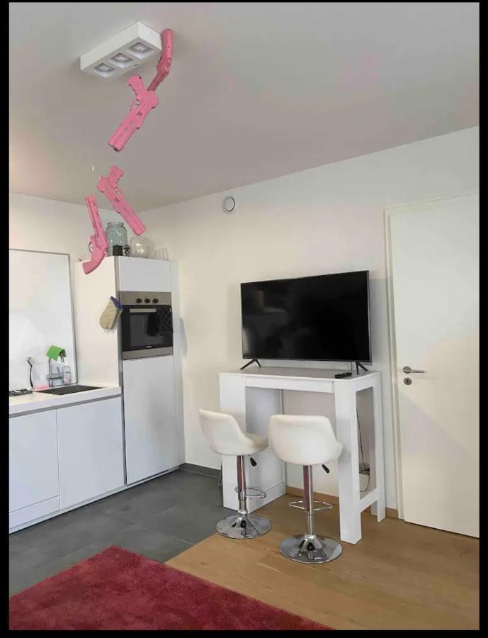Studio De Charme Apartment