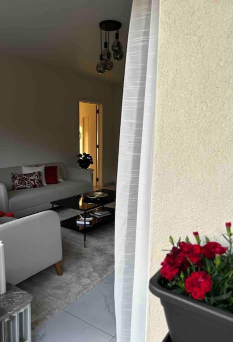 Apartment Cocoon-woluwe * * * * * *