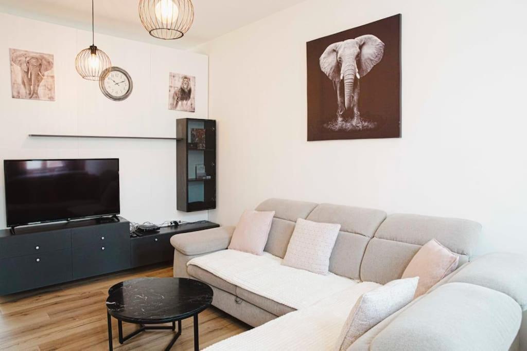 Apartment 1 Brussels