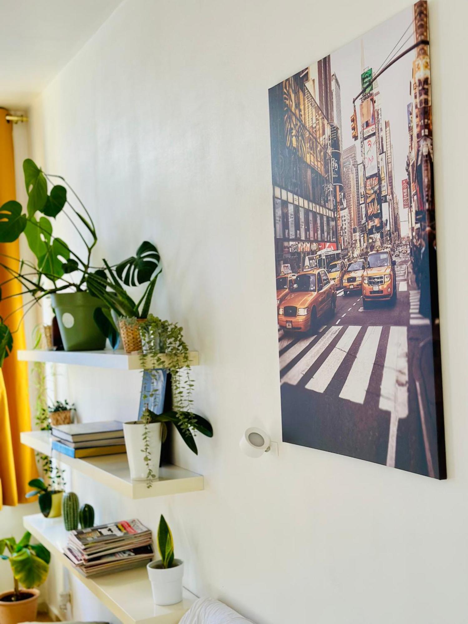 Down-town 1 Bedroom Flat Apartment