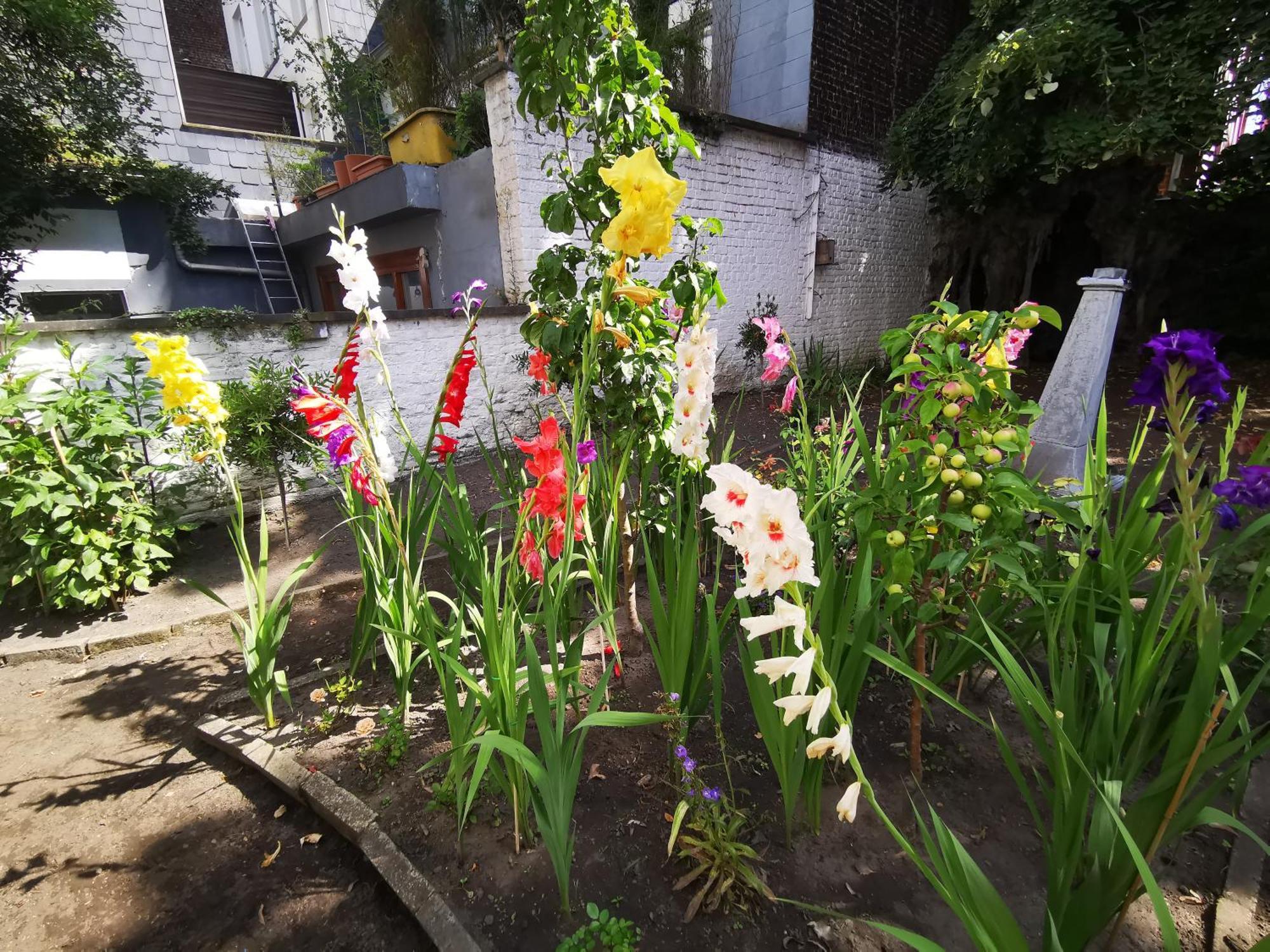 Maison Jamaer Bed & Breakfast Brussels