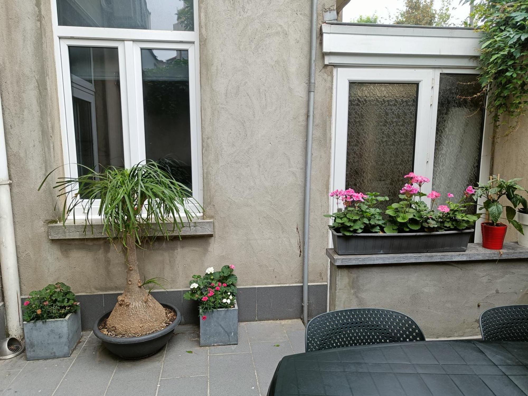 Apartment The Brussels-laken