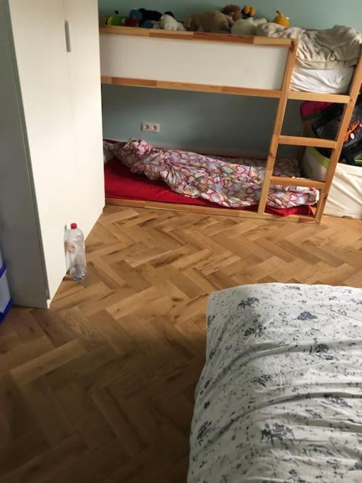 In Maison De Metre In Etterbeek Apartment Brussels