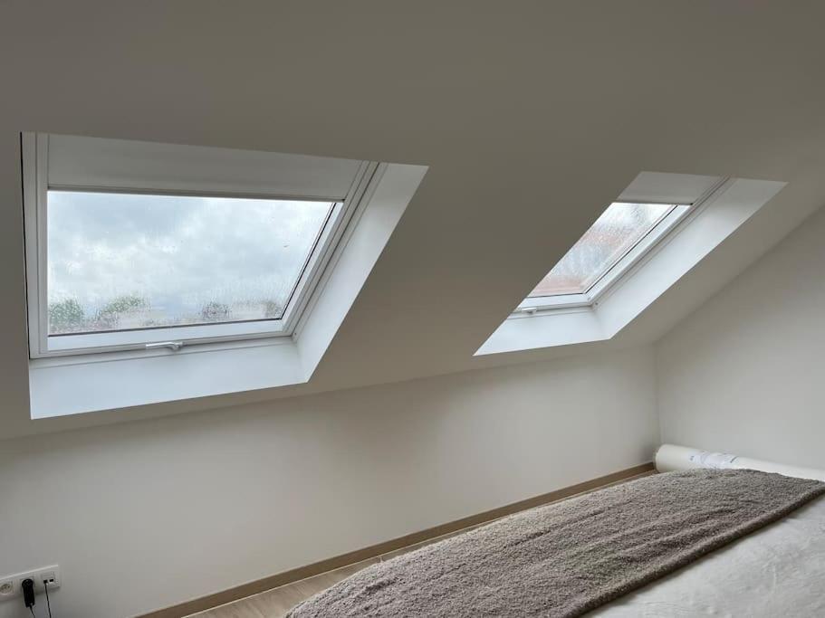 The Cosy House