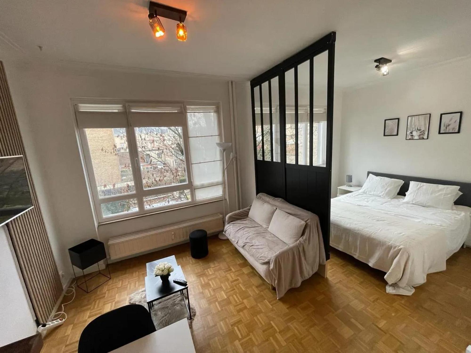 Charming In Ixelles 40 M² Private Parking Brussels