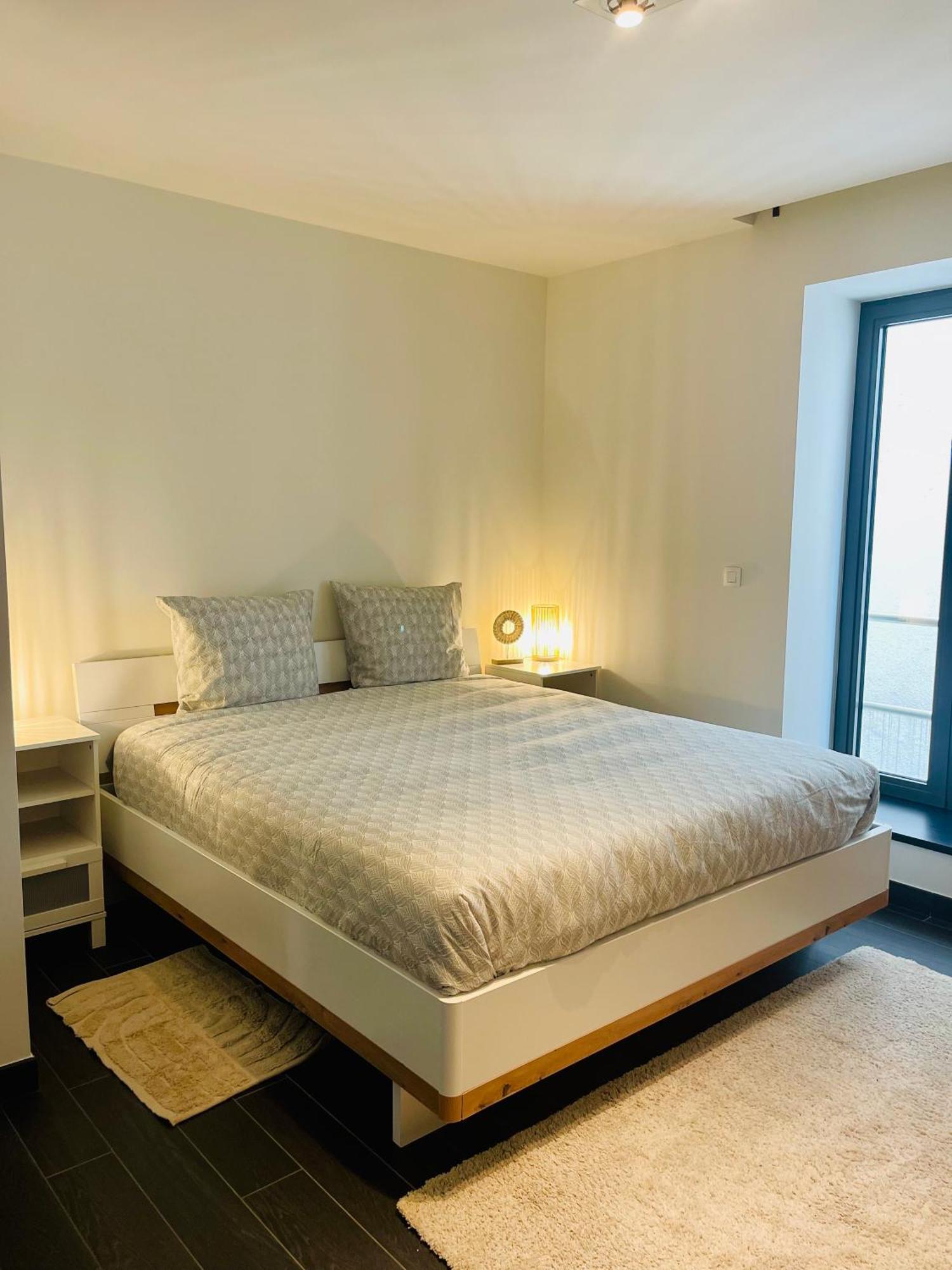 Down Town Spacious Loft Retreat With Private Parking Appartement