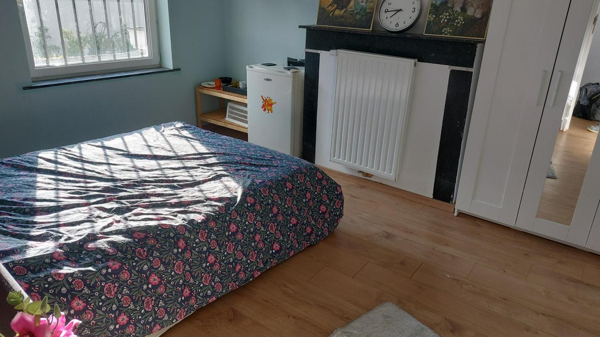 Confortable Avec Un Lit Double A Schaerbeek Cle Bleu Homestay *