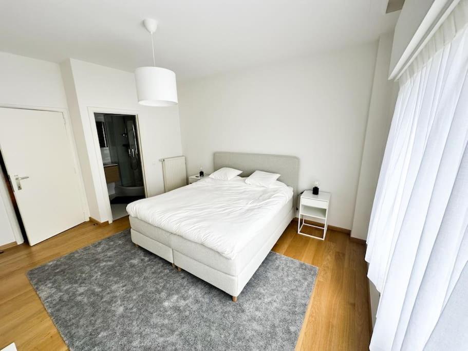 Charming In Ixelles Apartment Brussels