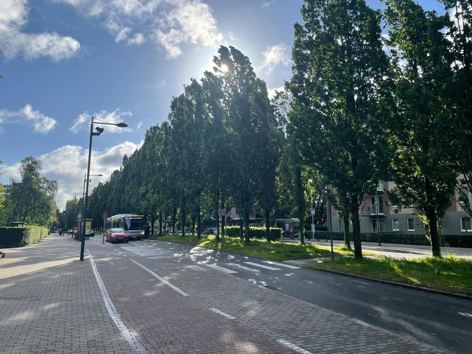 Apartment One Bedroom Fully Equipped With Terrace *