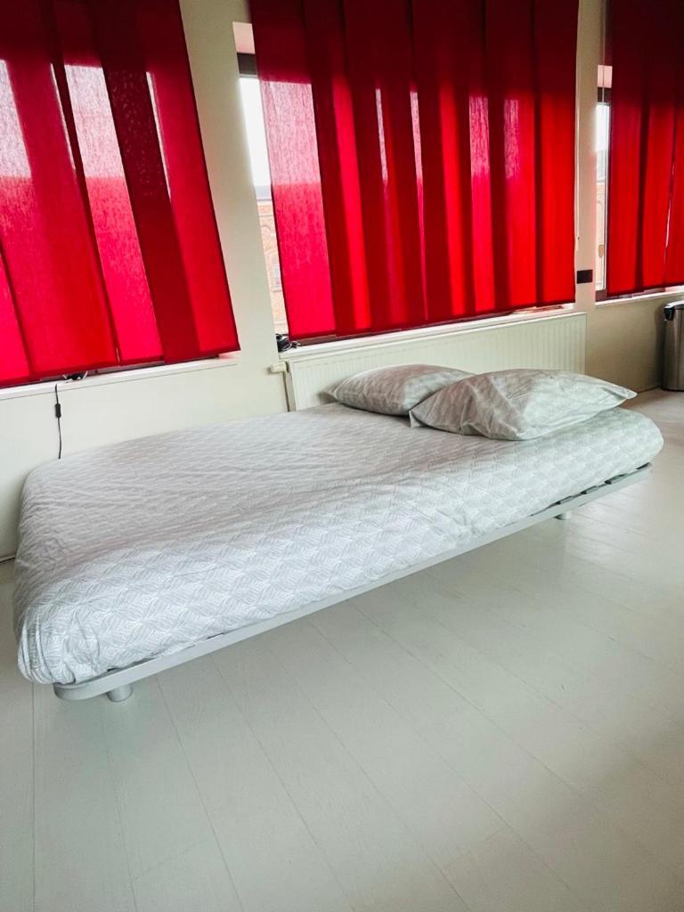 Apartment Down Town Penthouse With Private Parking