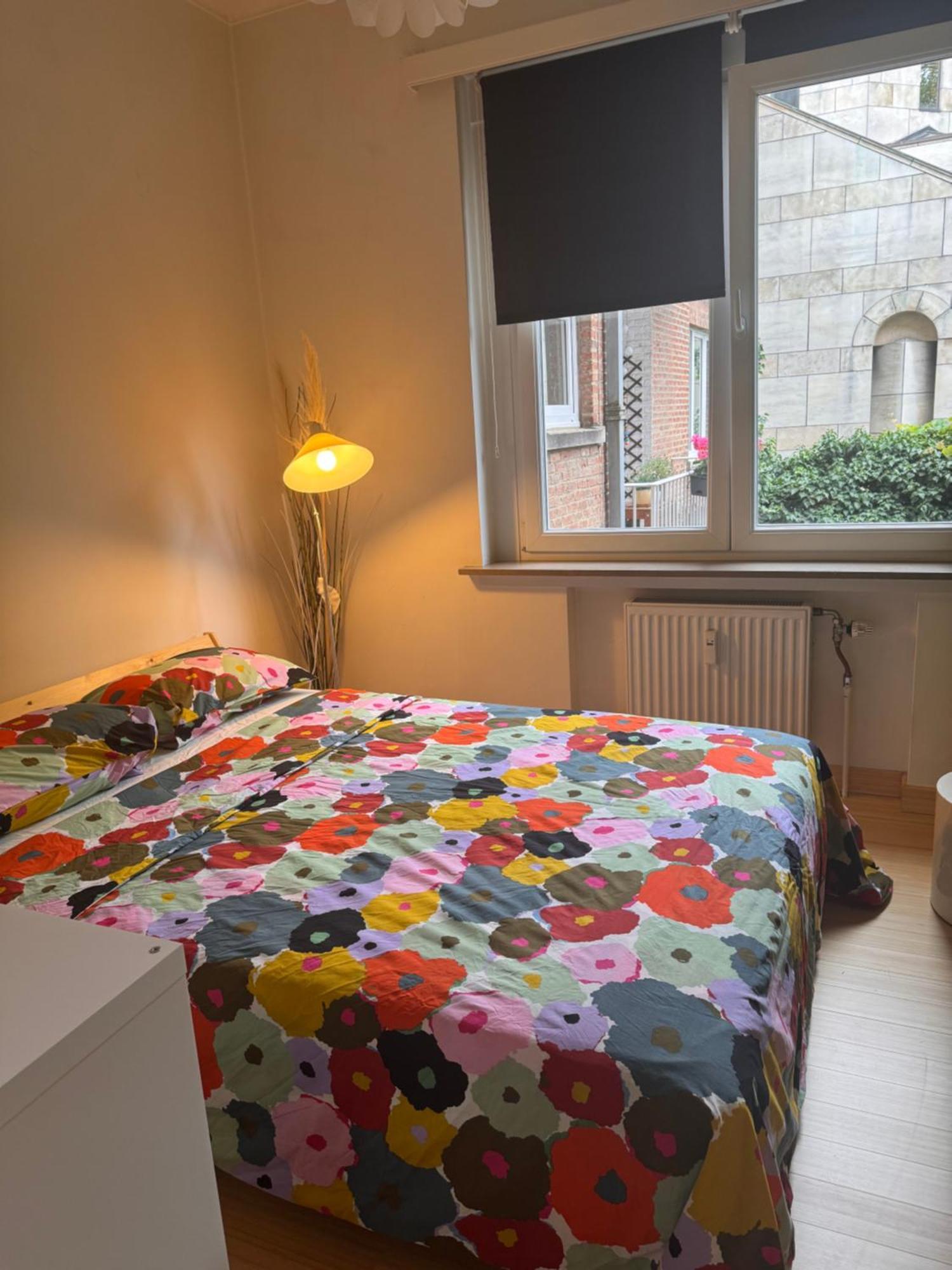 Apartment Luxe Serene Brussels