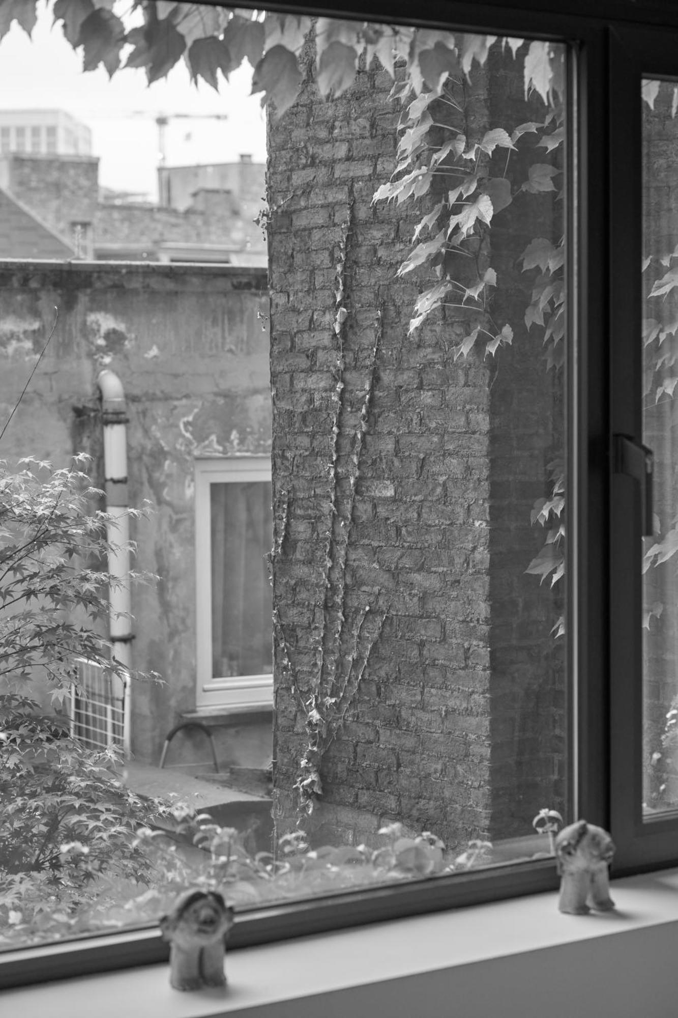 Teddy Picker * Brussels