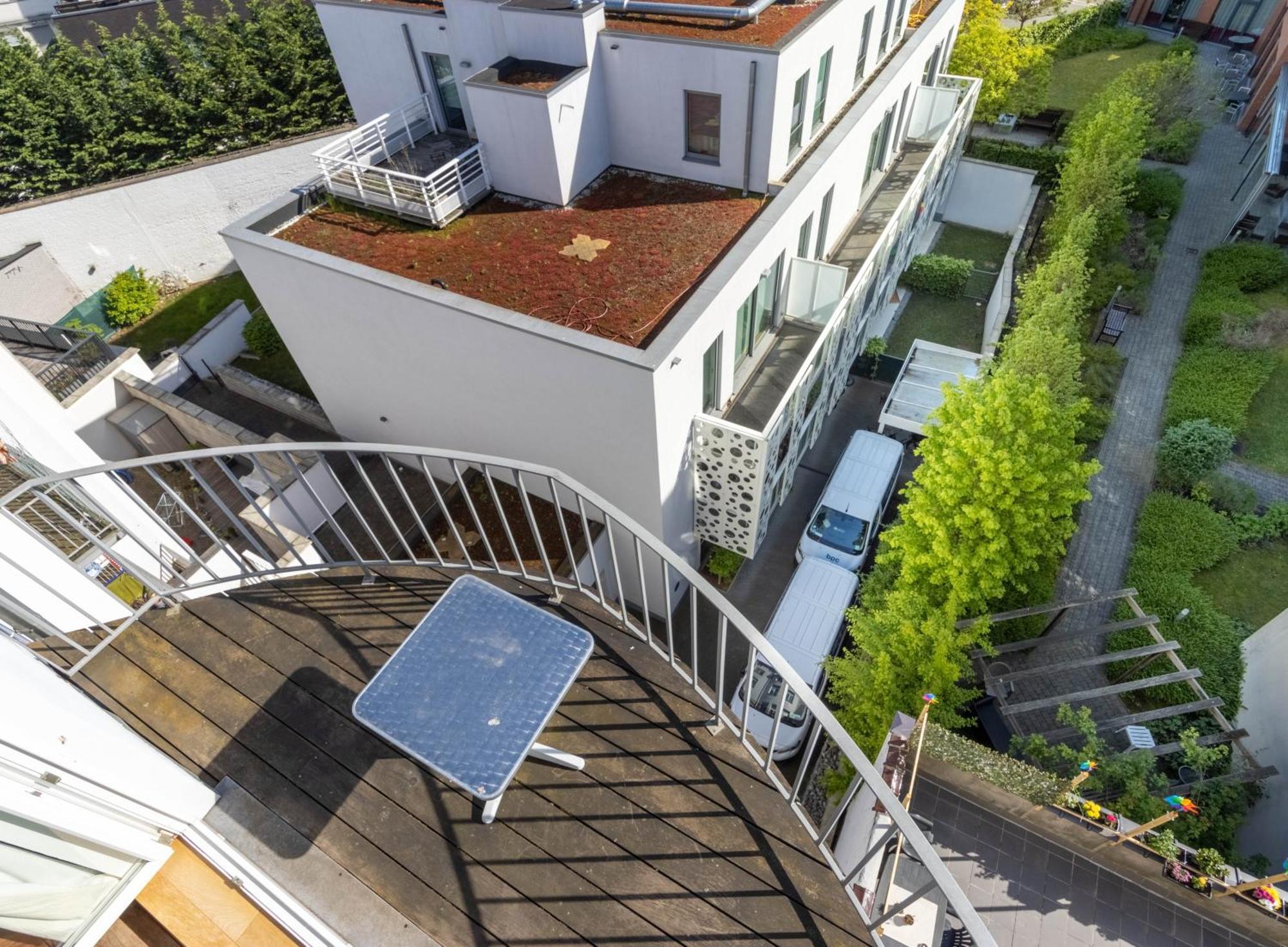 Elegance Cinquantenaire